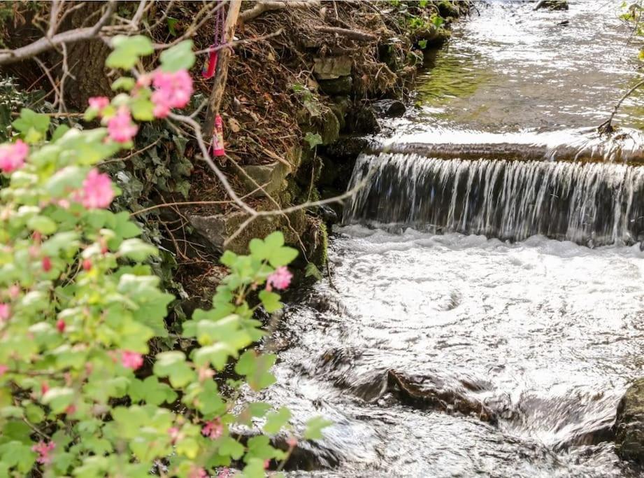 Babbling Brook Cottage Stony Middleton エクステリア 写真